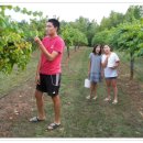 건희농장 이미지