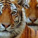 골드킹 PC방 이미지