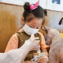 순복이네 스핑크스 이미지