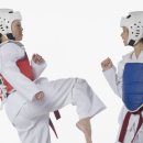 송내정도태권도 이미지