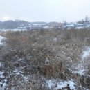 내판3리 마을회관 이미지