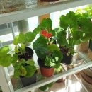 희숙농장 이미지