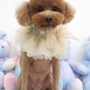 예쁜미용 이미지