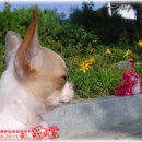 산이랑 바다 이미지