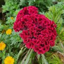 함양친구네집 이미지