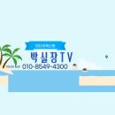 이레네코리아