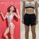 마일드핏