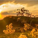 웰빙댄스 이미지