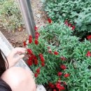 칠성초등학교 병설유치원 이미지