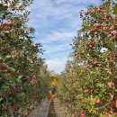 한옥농장 이미지