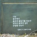 김유진「봄내」 이미지