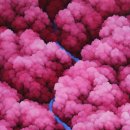 노마드팩토리 이미지