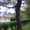 멍쿠실낭 이미지