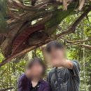 거북이안경 | [보홀 여행] 초콜릿힐+안경원숭이 현지업체로 육상투어/육상투어 자체가 노잼이었던 후기