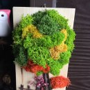 소망꽃화원 이미지