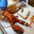 어서오시게 부천옥길점 이미지