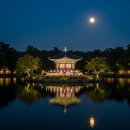 힐링가야금무용 이미지