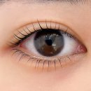 지혜로운EYE