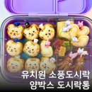 보라유치원 | 유치원 어린이집 소풍도시락 얌박스 4칸 도시락통 추천