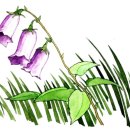 쵸크아트 이미지