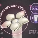 플로라데이 이미지