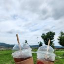 한사랑세탁 | [공지] 무주인게스트하우스_무주구천동계곡_올여름 혼자어때💁‍♀️ 둘이어때👩‍❤️‍💋‍👨 여기어때🎵