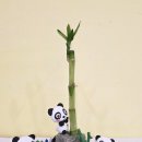 키즈창작아트