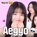 케미코리아 이미지