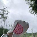 왓더쇼핑