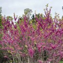 해돋이공원(관리사무소) 이미지