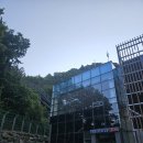 향우촌 | 울릉도 독도여행 ② ⑷ 남서일몰전망대 / 약소구이 식당 향우촌 후기