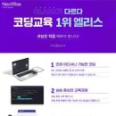 엘리스 지디넷코리아