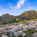 서천(목포) 이미지