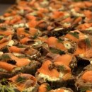 마레파티하우스 이미지