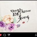 파도 한 송이 이미지