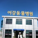 어강동물병원 이미지