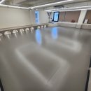 왈왈애견 이미지