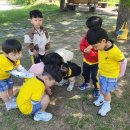 청목어린이집 이미지