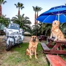 오월펜션 이미지