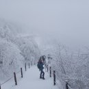 제745회 태백산 신년 산행(24.1.20.) 이미지