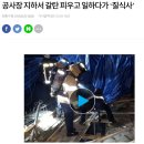 (한파주의닷컴)고체연료 파이어겔 (알코올계 비유독물 고체연료) 겨울철 콘크리트 양생 / 갈탄, 열풍기 대체품 이미지