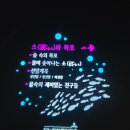 7월 28일 만보걷기 이미지