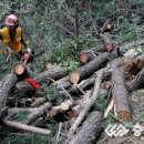 청주남중학교 이미지