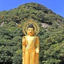 두차례나 녹아내린 법주사 미륵불의 사연 이미지