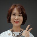피토셀코리아