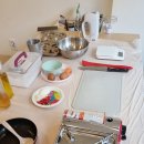 도기얌얌 이미지