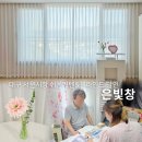 은빛창