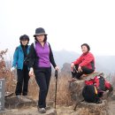 천자봉 농장 이미지