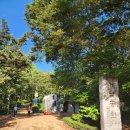 계남공원(배드민턴장) 이미지