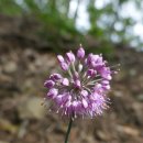 갑산2리 이미지